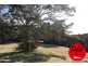 Tarzali QLD 4885