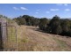 Tarzali QLD 4885