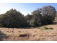 Tarzali QLD 4885