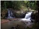 Lake Barrine QLD 4884