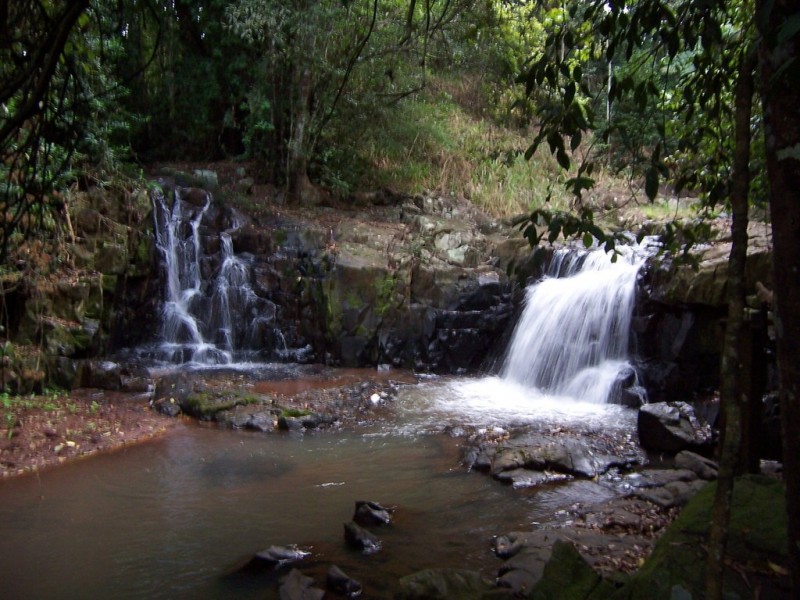 Lake Barrine QLD 4884