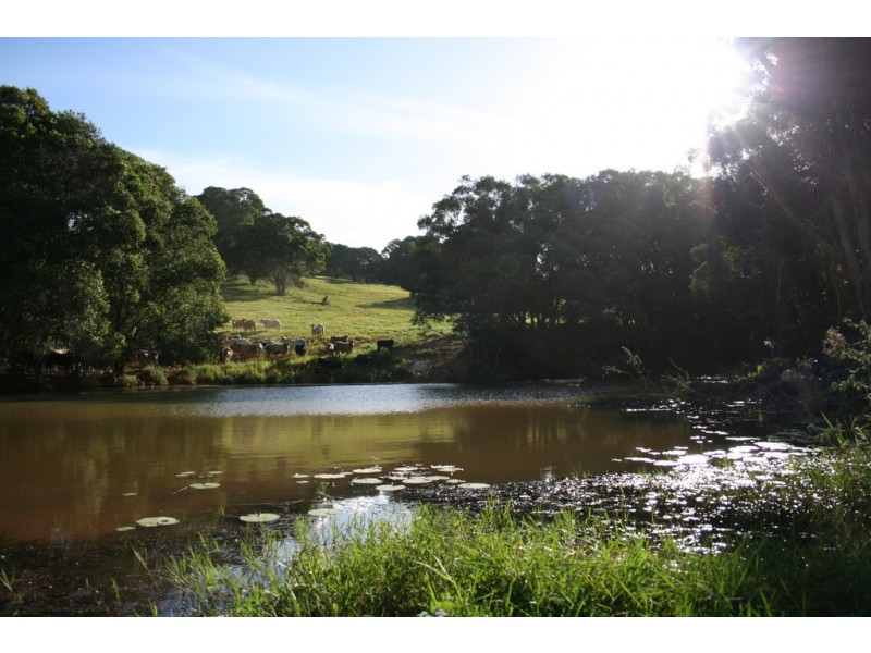 Lake Barrine QLD 4884