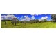 Lake Barrine QLD 4884