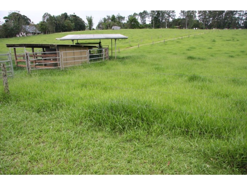 Lake Eacham QLD 4884