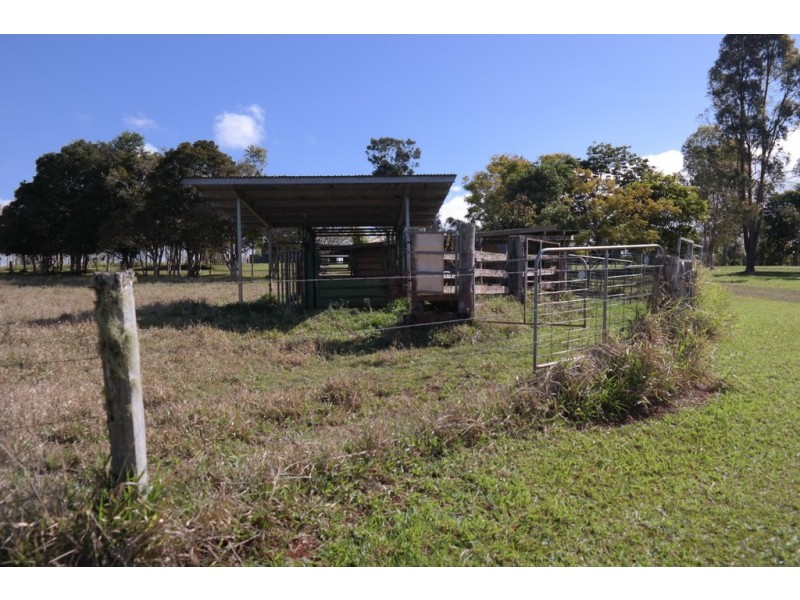 Lake Eacham QLD 4884