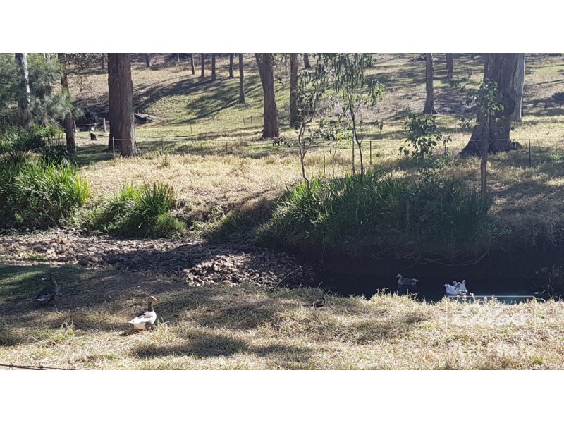 Ravenshoe QLD 4888