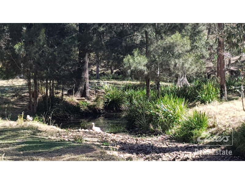 Ravenshoe QLD 4888