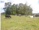 Glen Allyn QLD 4885