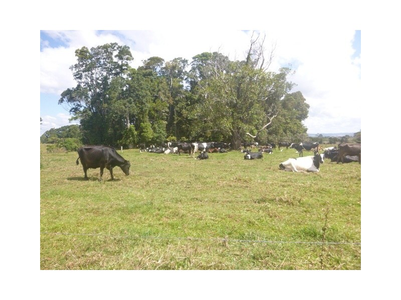 Glen Allyn QLD 4885