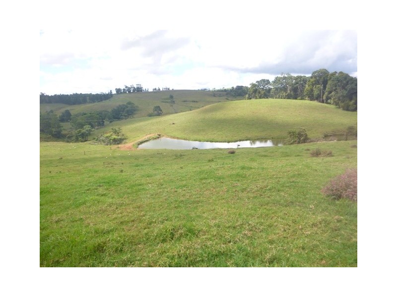 Glen Allyn QLD 4885