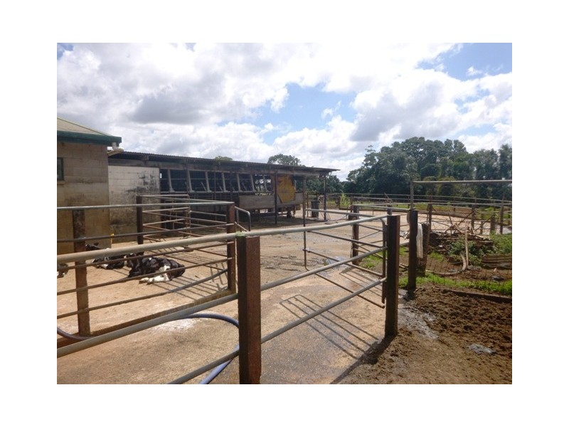 Glen Allyn QLD 4885