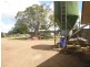 Glen Allyn QLD 4885