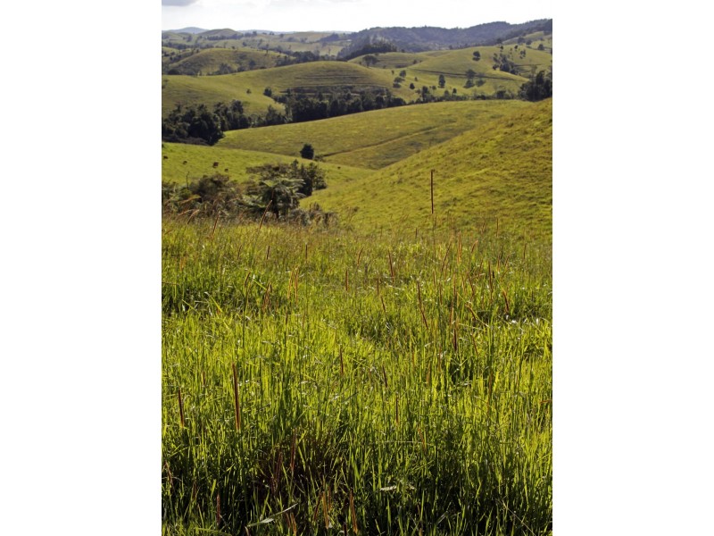 Tarzali QLD 4885