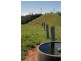 Tarzali QLD 4885