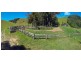 Tarzali QLD 4885