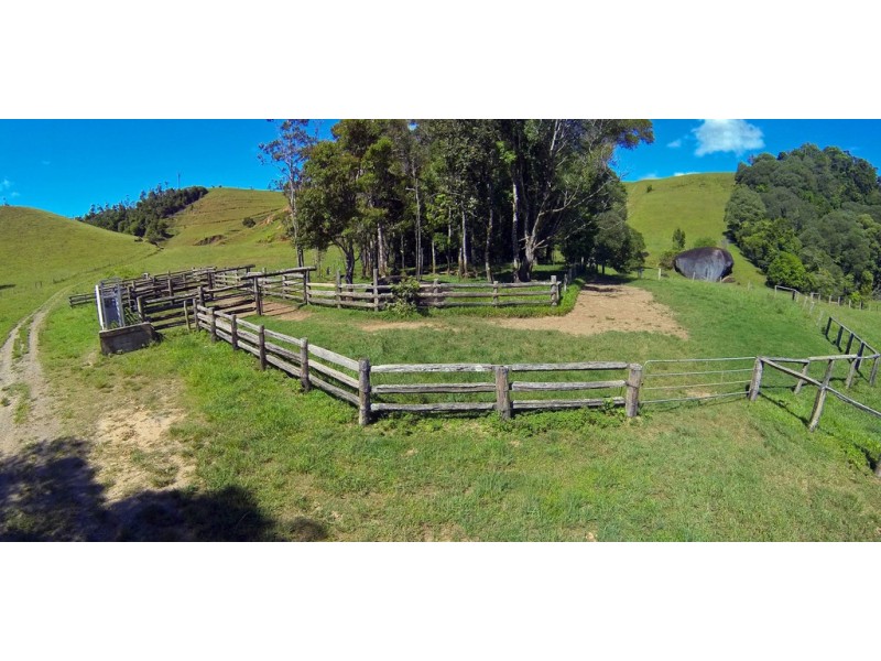 Tarzali QLD 4885