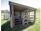Tarzali QLD 4885