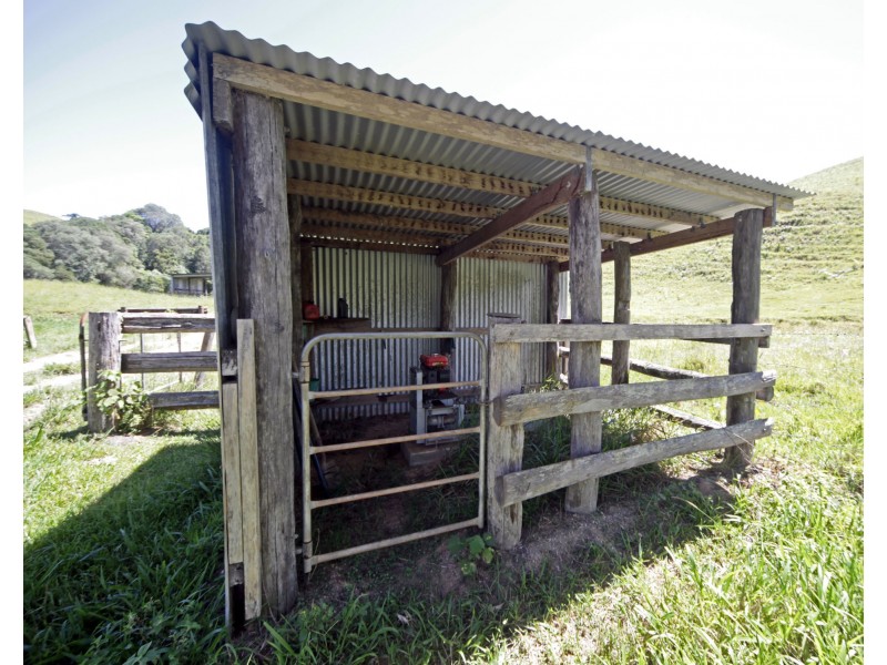 Tarzali QLD 4885