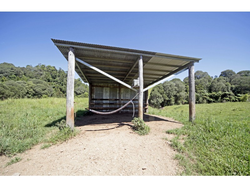 Tarzali QLD 4885