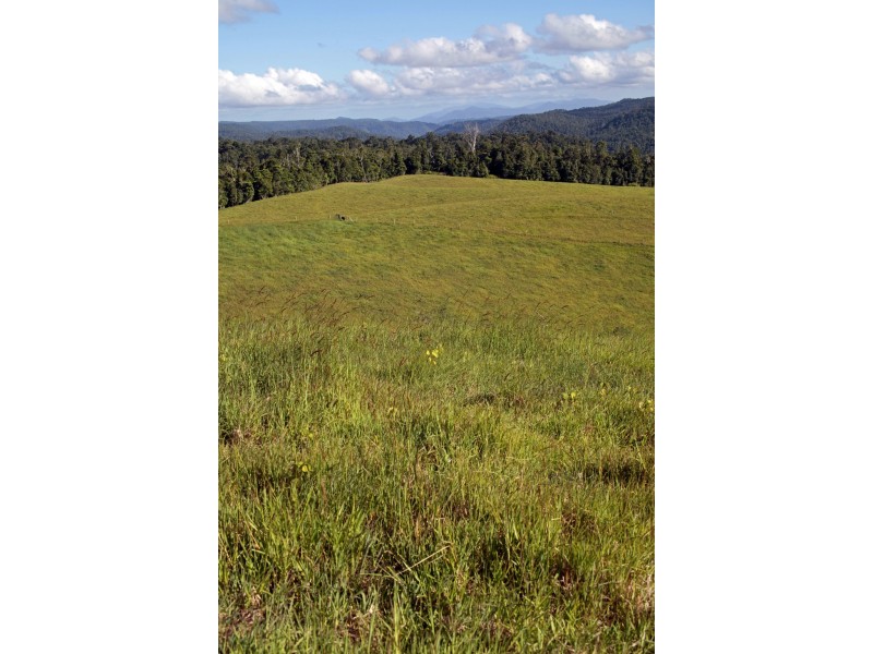 Tarzali QLD 4885