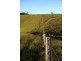 Tarzali QLD 4885
