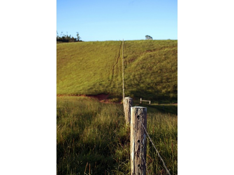 Tarzali QLD 4885