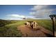 Tarzali QLD 4885