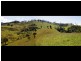 Tarzali QLD 4885