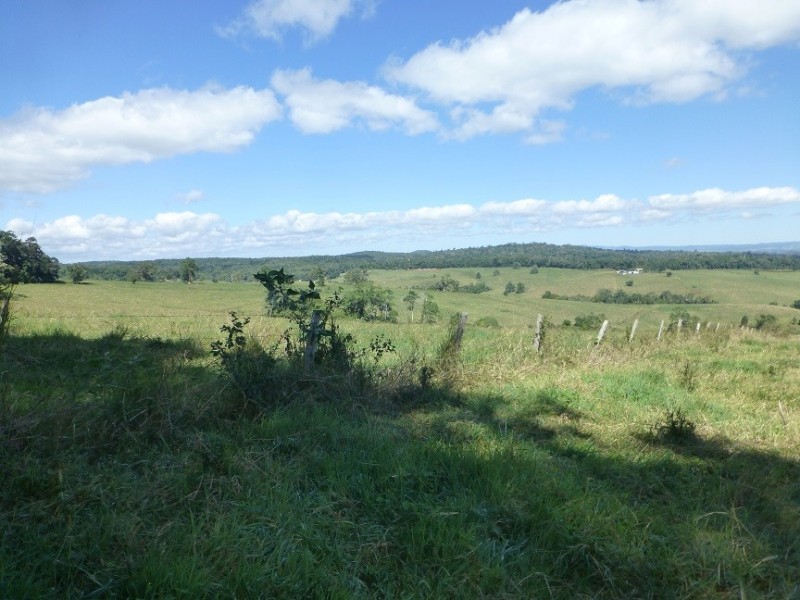 Lake Barrine QLD 4884