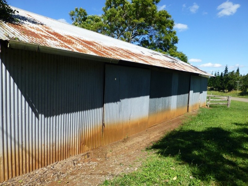 Lake Barrine QLD 4884