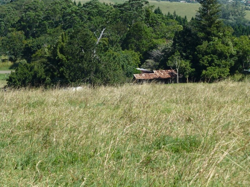 Lake Barrine QLD 4884