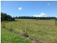 Lake Barrine QLD 4884