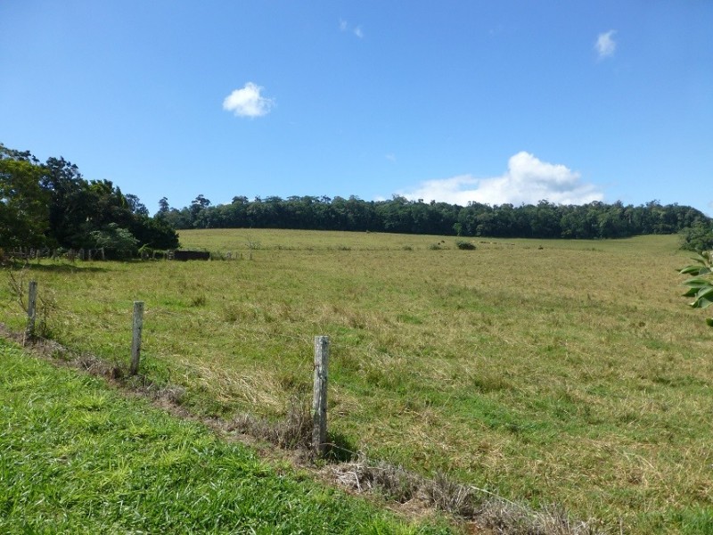 Lake Barrine QLD 4884