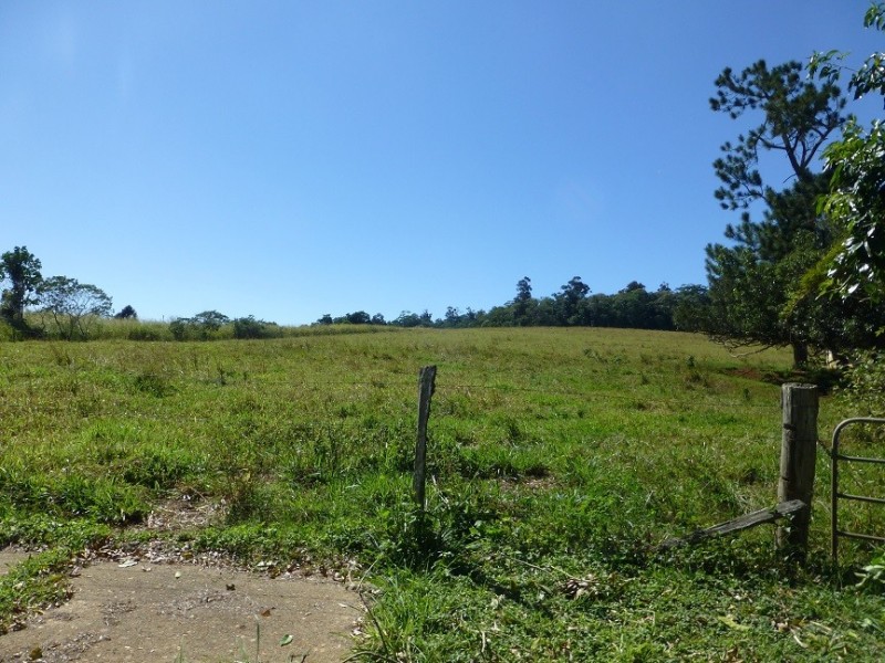 Lake Barrine QLD 4884