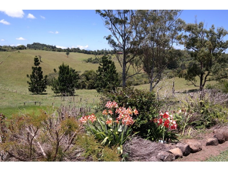 Jaggan QLD 4885