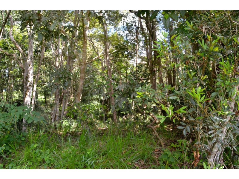 Malanda QLD 4885