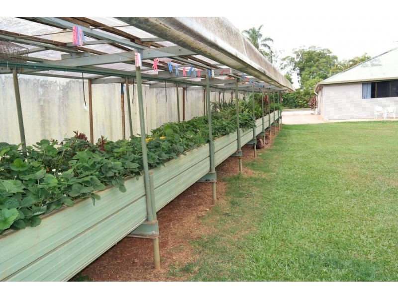 Malanda QLD 4885