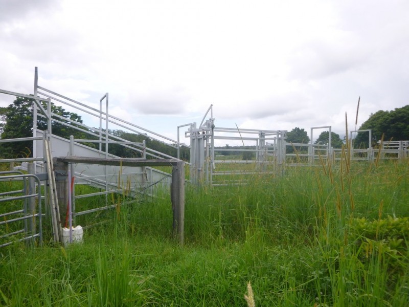 East Barron QLD 4883