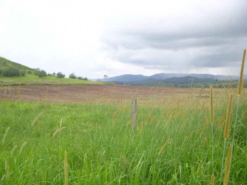 East Barron QLD 4883