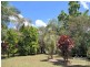 Yungaburra QLD 4884