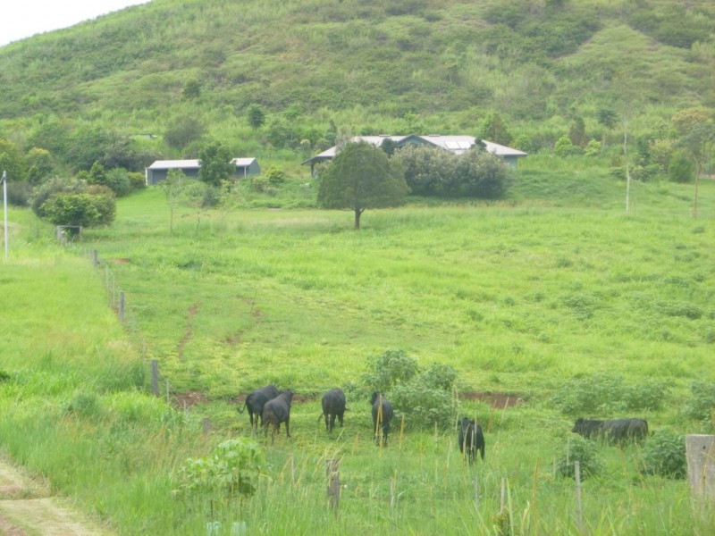 East Barron QLD 4883