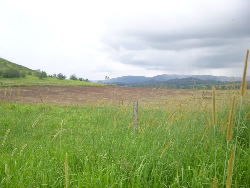 East Barron QLD 4883