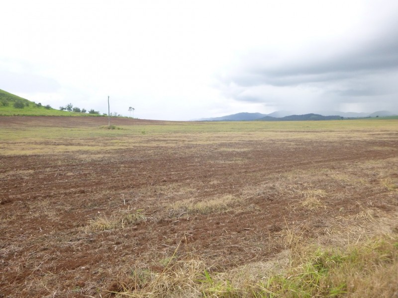 East Barron QLD 4883