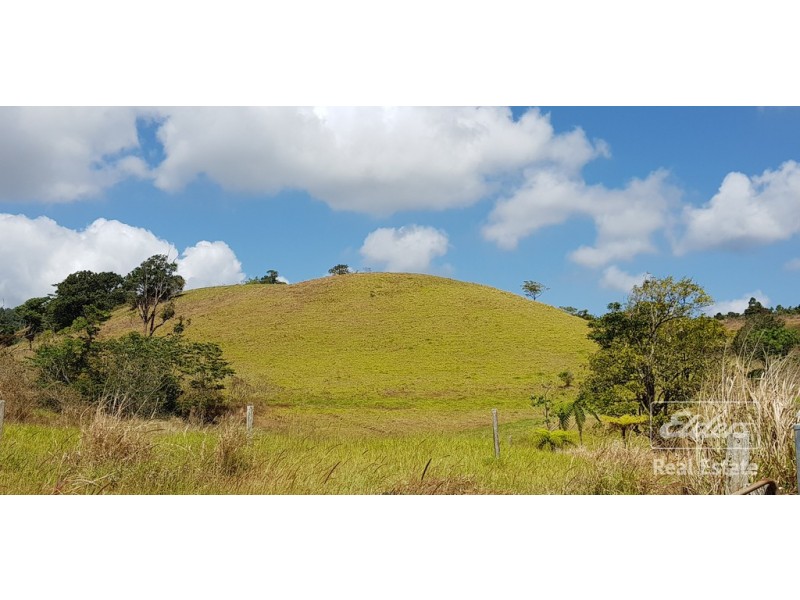Millaa Millaa QLD 4886
