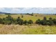 Millaa Millaa QLD 4886