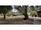 Millaa Millaa QLD 4886