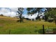 Millaa Millaa QLD 4886