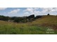 Millaa Millaa QLD 4886
