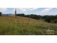 Millaa Millaa QLD 4886