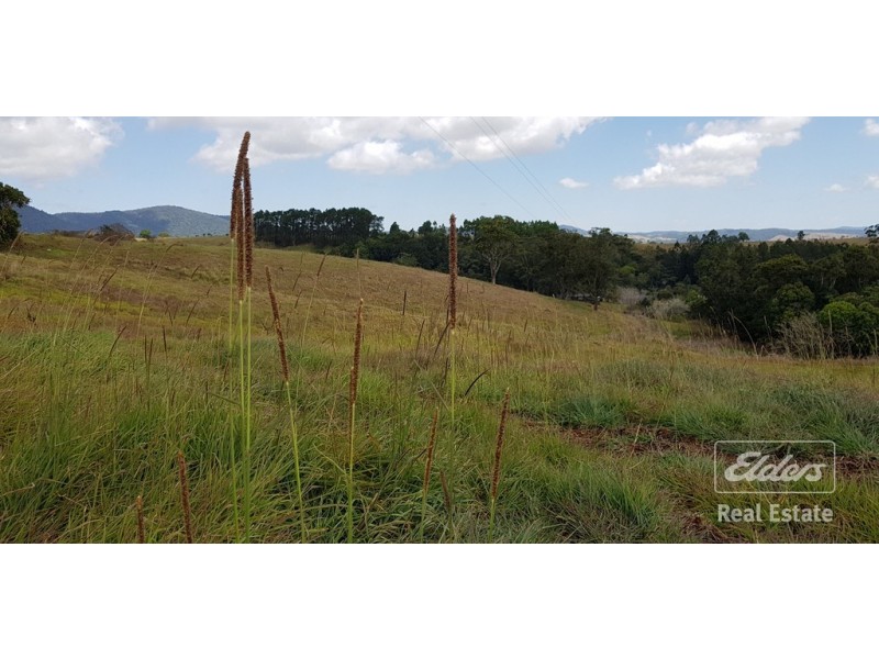Millaa Millaa QLD 4886